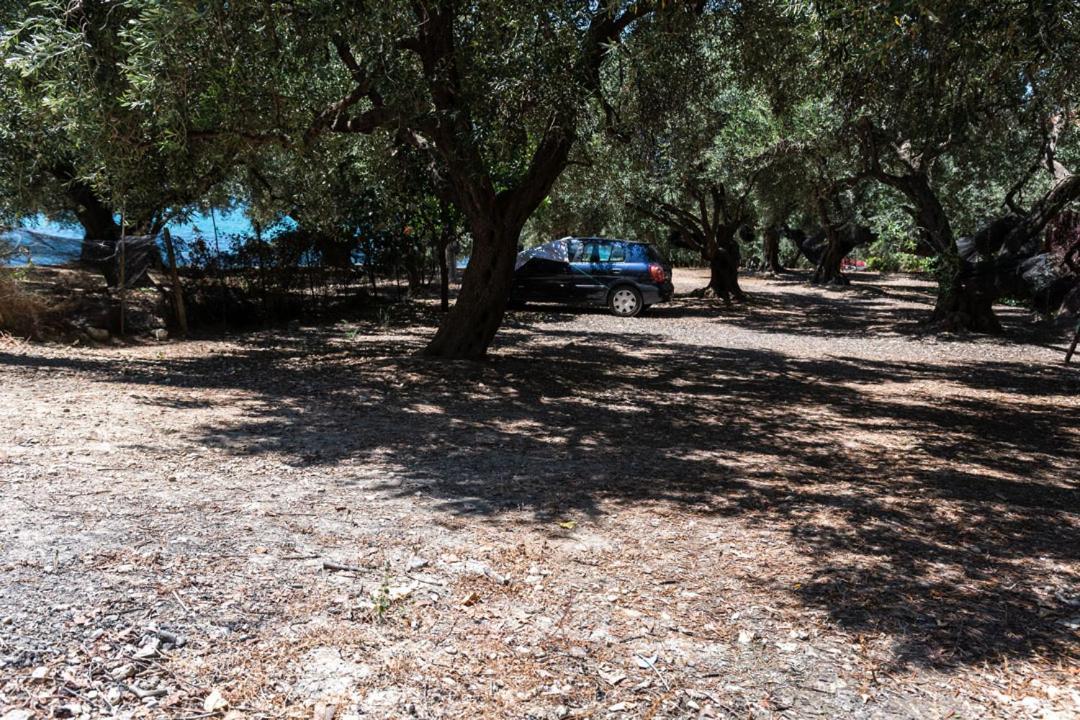 Olive Tree Villa Lygia  Exteriér fotografie