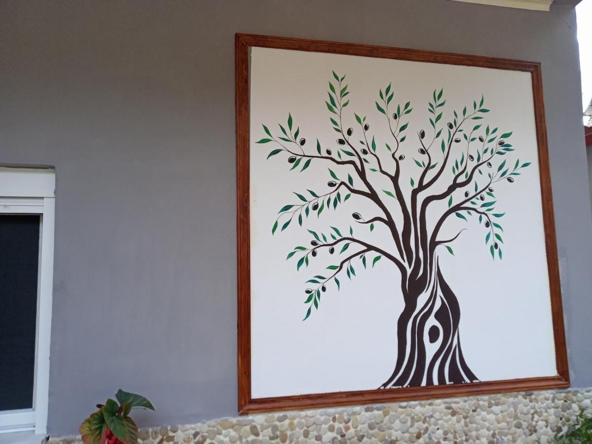 Olive Tree Villa Lygia  Exteriér fotografie